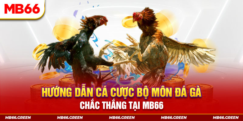 vn88pro Xì tố