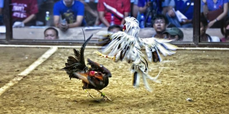 vn88pro trò chơi nổ hũ là gì