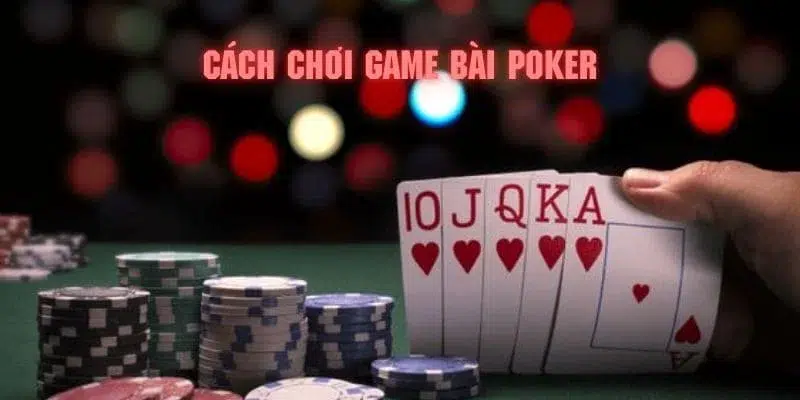 vn88pro gà chọi c1 gold city