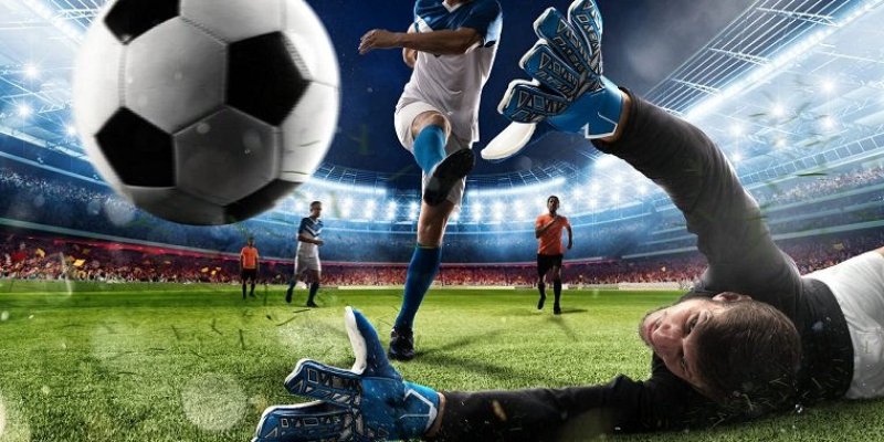 vn88pro bản kiểm điểm cá nhân