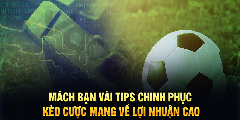 vn88pro Pok Deng