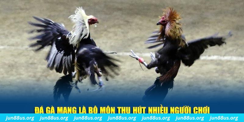 vn88pro xổ số miền bắc thứ tư hàng tuần