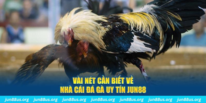 arne slot là ai