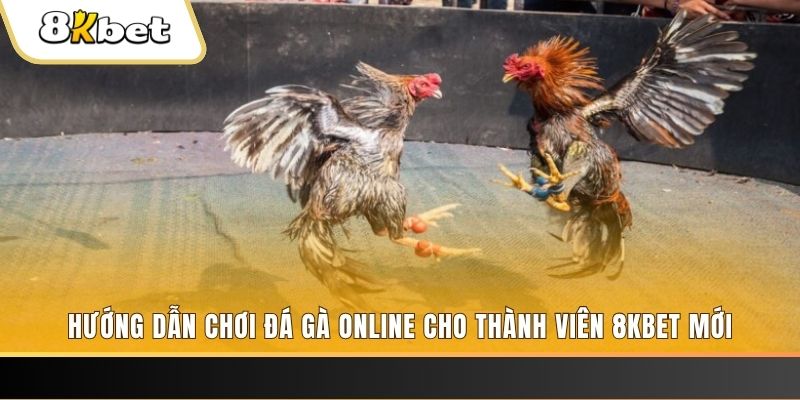 vn88pro sổ xô miên bắc