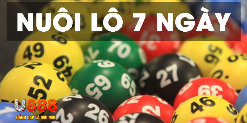 vn88pro đăng nhập phỏm live