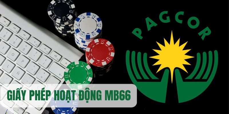 what is a virtual casino