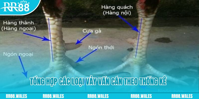 vn88pro BSP Bắn cá