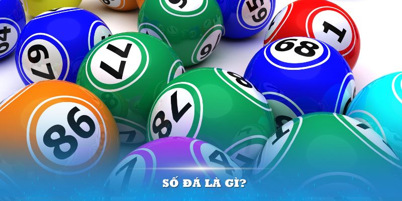 vn88pro truc tiep da ga thomo