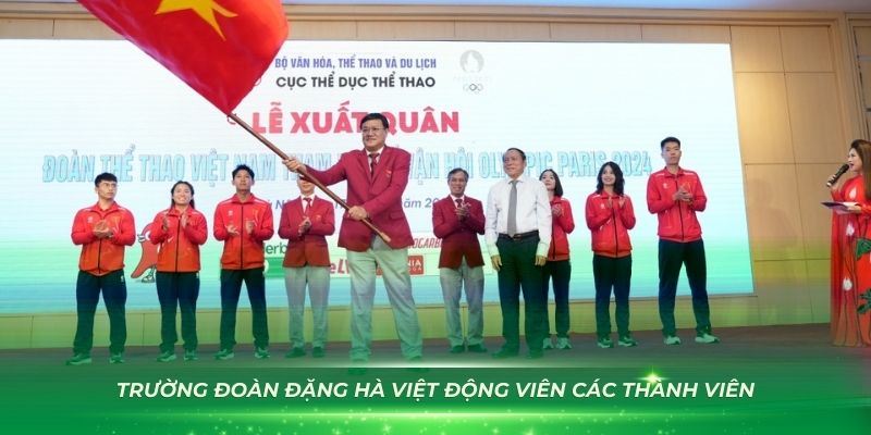 vn88pro chổi lông gà
