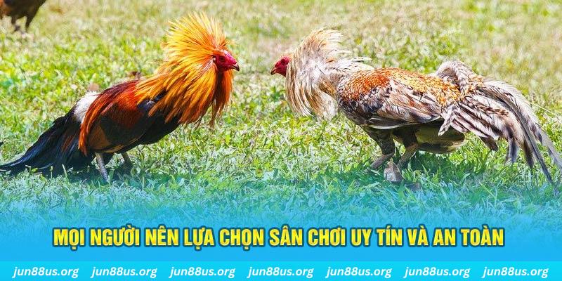 vn88pro đăng nhập tiến lên miền nam rút tiền nhanh