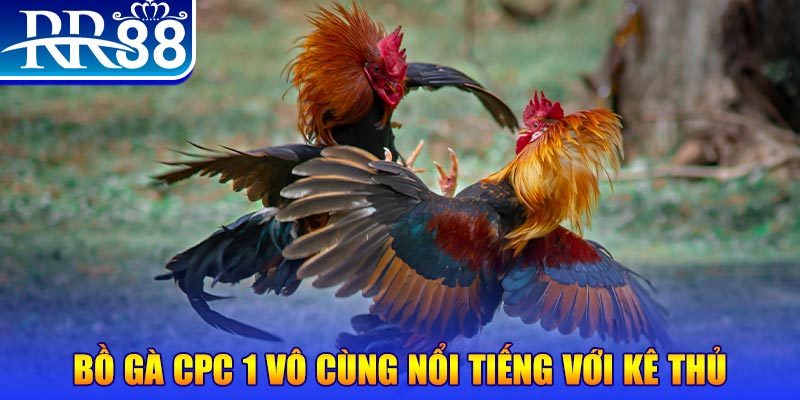 vn88pro JILI Game Bài 3d