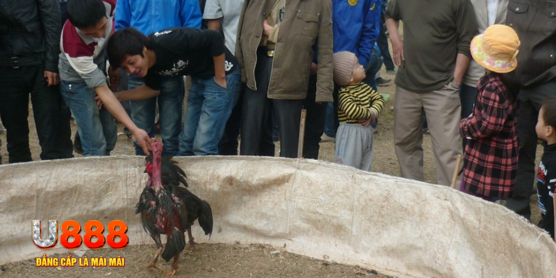 vn88pro đăng nhập nổ hũ hôm nay