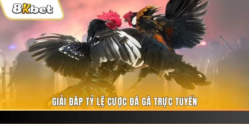 vn88pro xổ số miền nam thứ tư