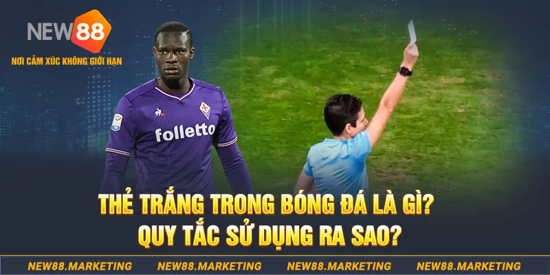 vn88pro TÀI XỈU THÁI 2