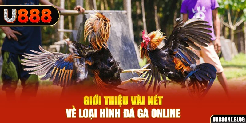 vn88pro SA Trực Tuyến