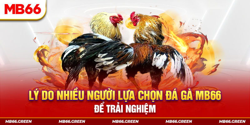 vn88pro new88 ở trò chơi nổ hũ có bao nhiêu sảnh game？