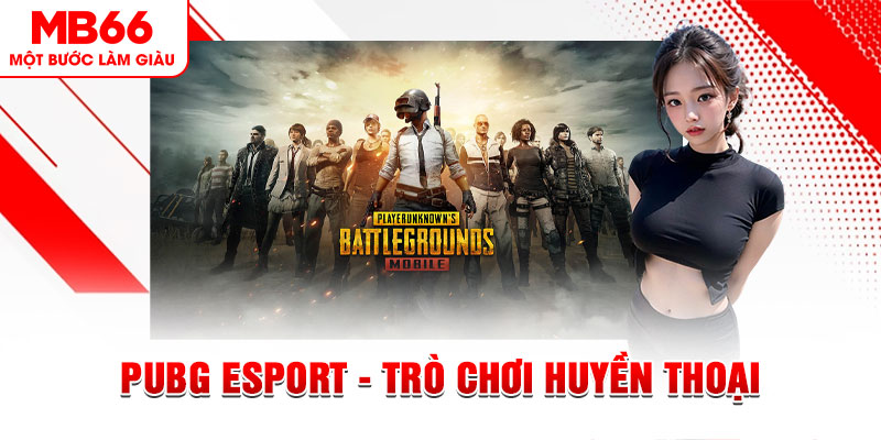 vn88pro what is live dealer casino