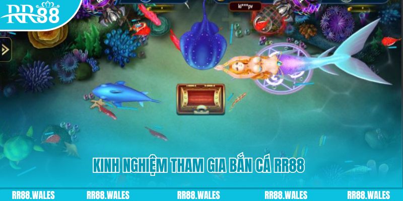 vn88pro baccarat lừa đảo như thế nào