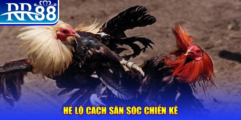 vn88pro bao nhiêu điểm nổ hũ 8 bit