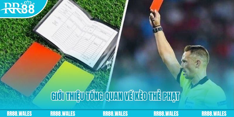vn88pro bắn cá nổ hũ