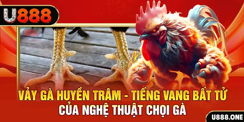 vn88pro đăng nhập nổ hũ hàng đầu